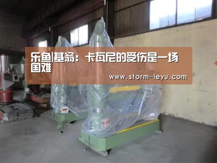 乐鱼|基翁:卡瓦尼的受伤是一场国难