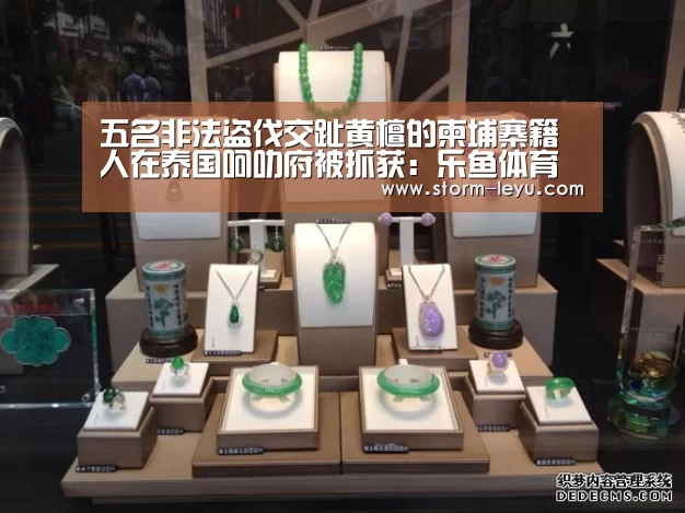 五名非法盗伐交趾黄檀的柬埔寨籍人在泰国呵叻府被抓获：乐鱼体育