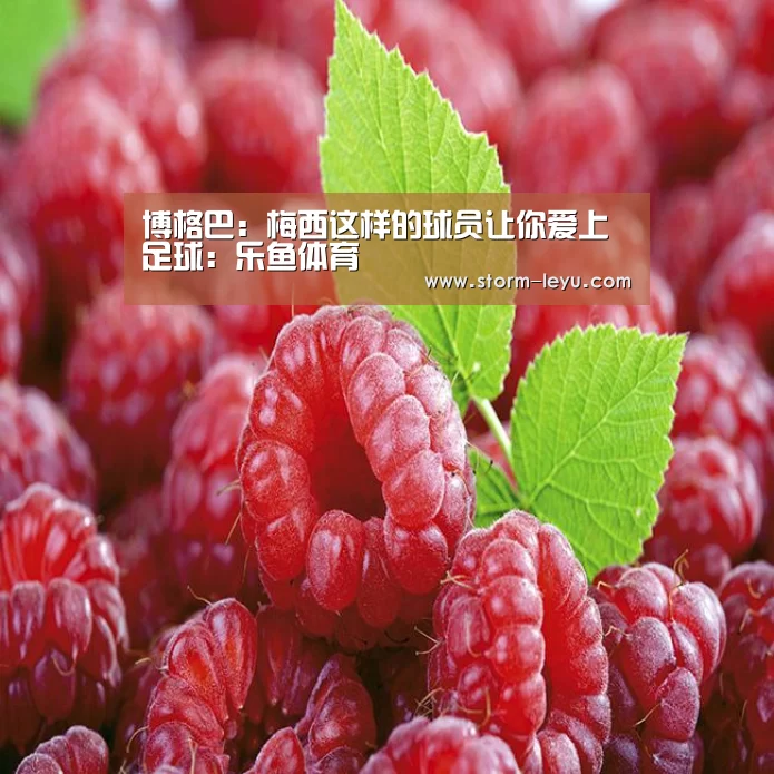 乐鱼
