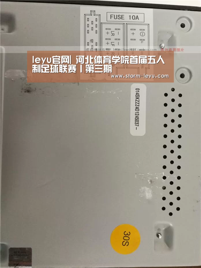 乐鱼