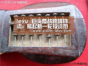leyu-巨头鏖战跨境物流，掀起新一轮投资热潮